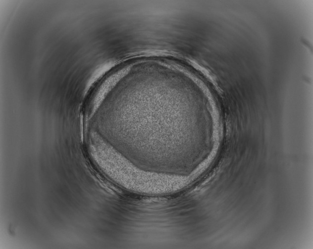 X0000090991171200708301305