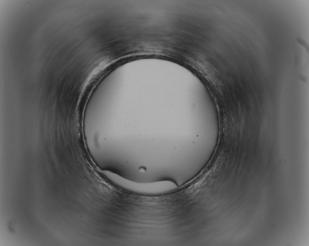 X0000090991172200708301305