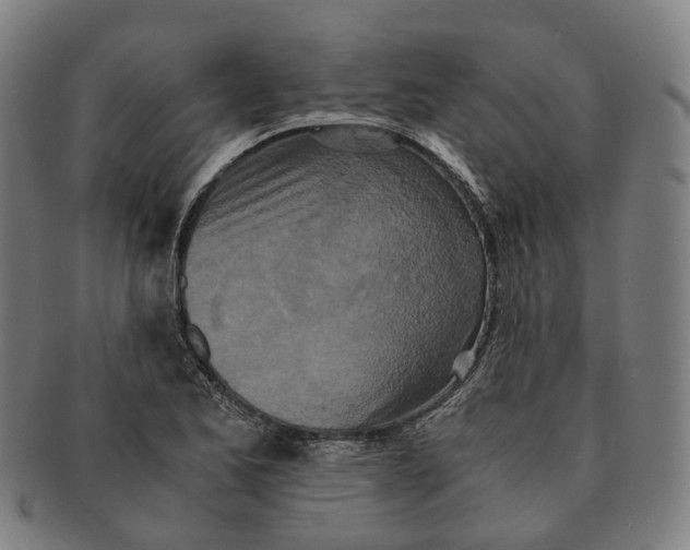 X0000090991173200708301305