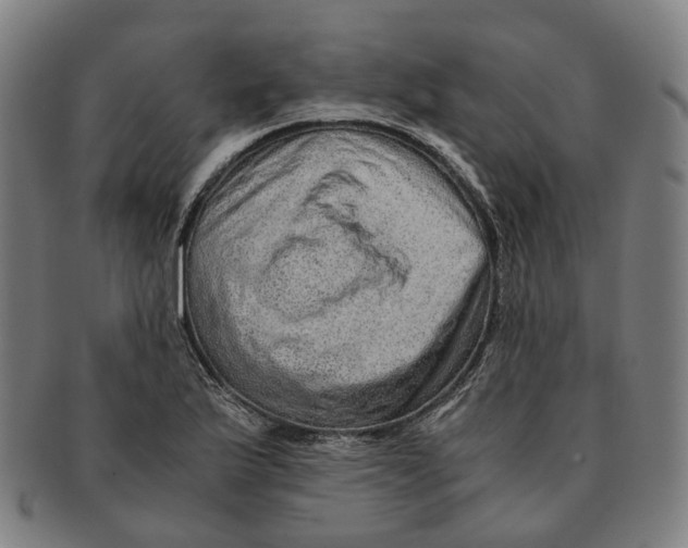 X0000090991175200708301305