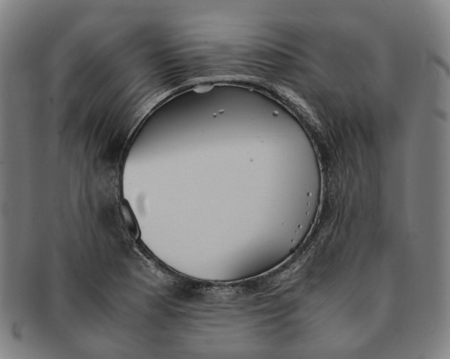 X0000090991177200708301305