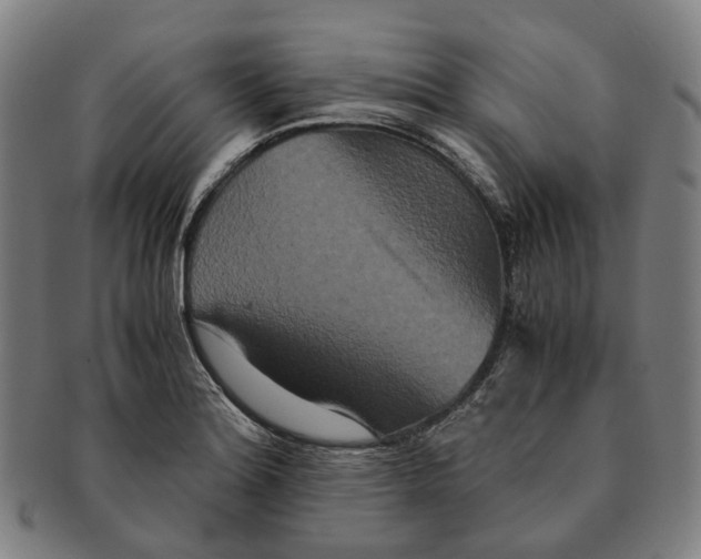 X0000090991180200708301305