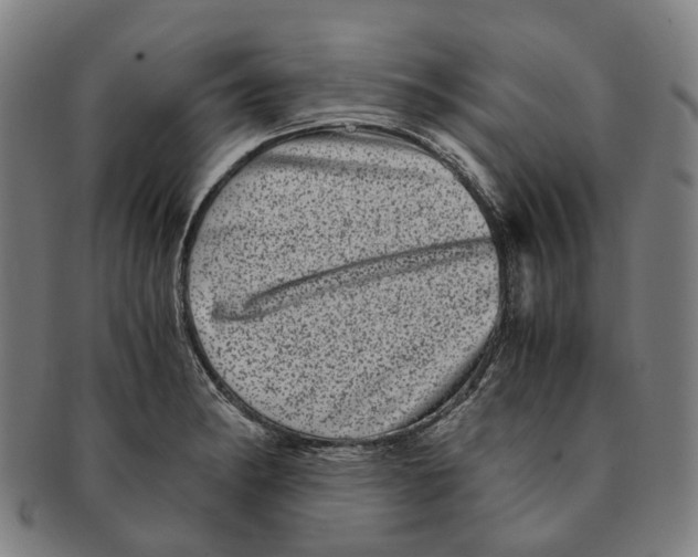 X0000090991182200708301305