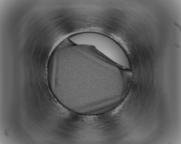 X0000090991184200708301305