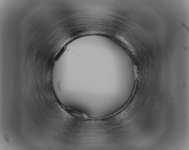 X0000090991185200708301305