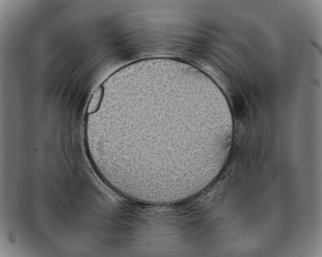 X0000090991187200708301305