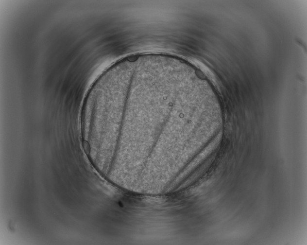 X0000090991191200708301305