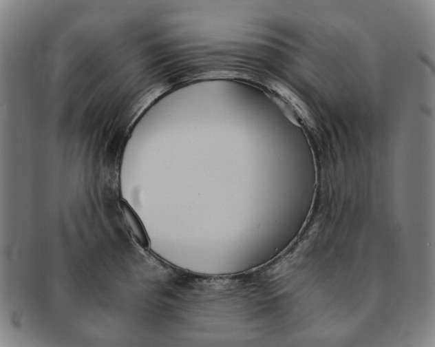 X0000090991193200708301305