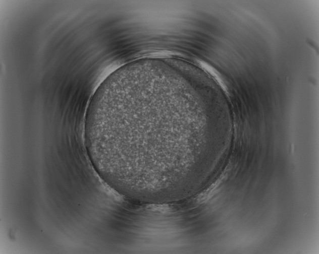 X0000090991194200708301305