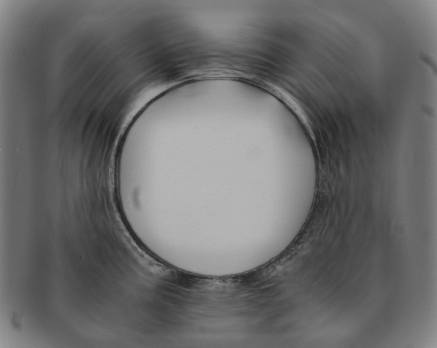 X0000090991195200708301305