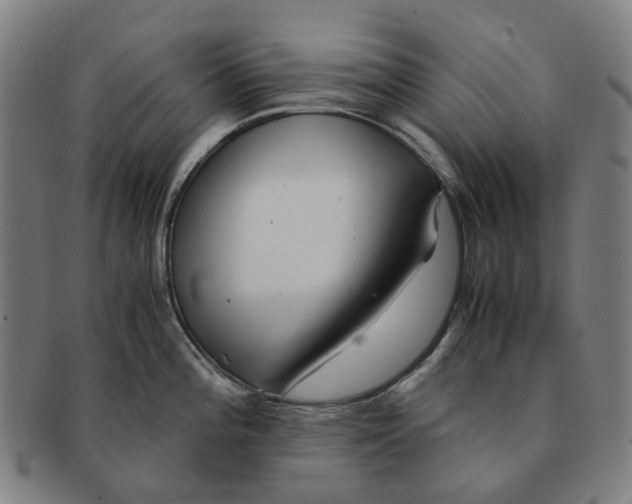 X0000090991196200708301305