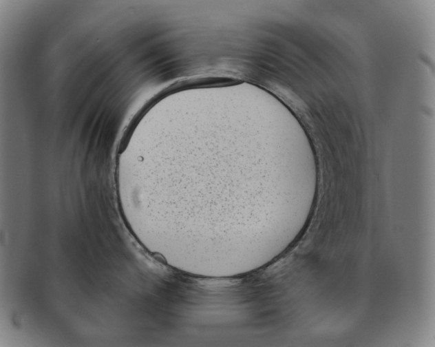 X0000090991200200708301305