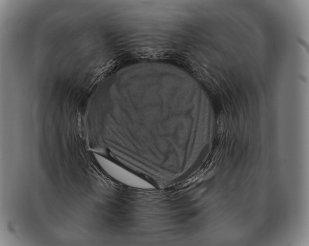 X0000090991202200708301304