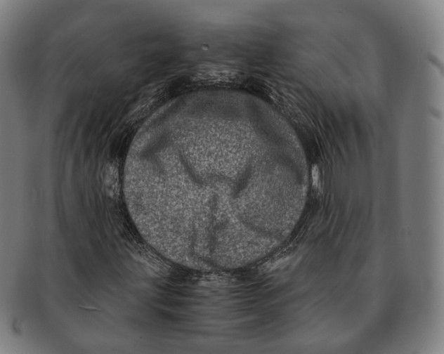 X0000090991203200708301304