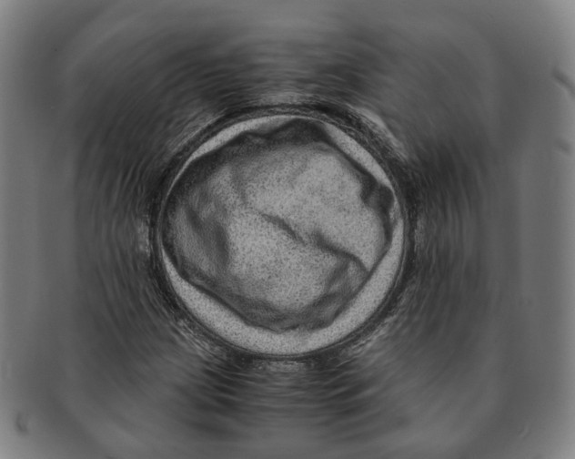 X0000090991209200708301304