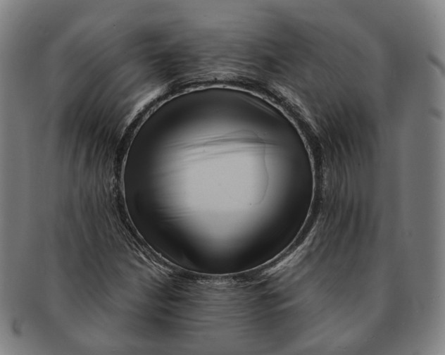 X0000090991210200708301304