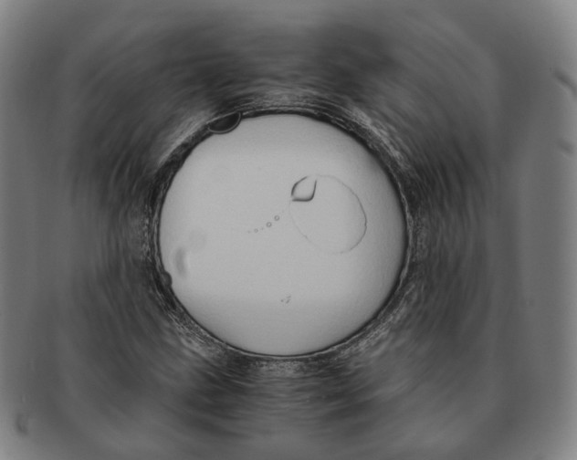 X0000090991211200708301304