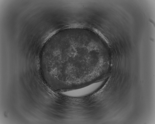 X0000090991213200708301304