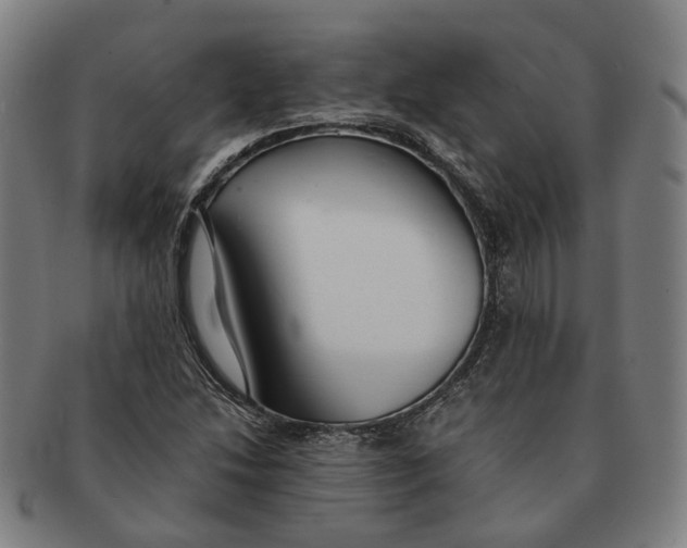 X0000090991214200708301304