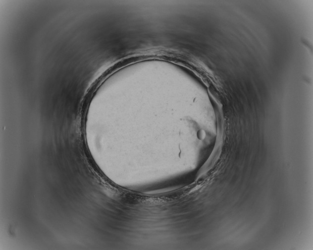 X0000090991216200708301304