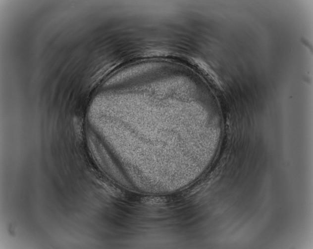 X0000090991217200708301304