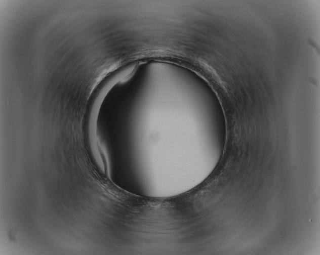 X0000090991218200708301304