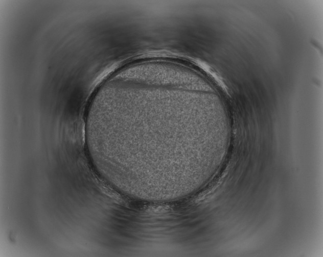 X0000090991221200708301305