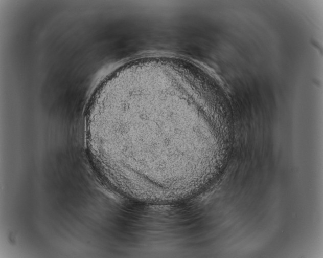 X0000090991223200708301305