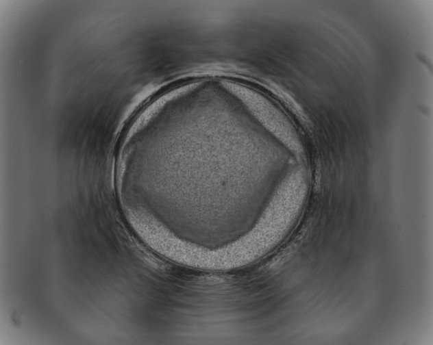 X0000090991224200708301305