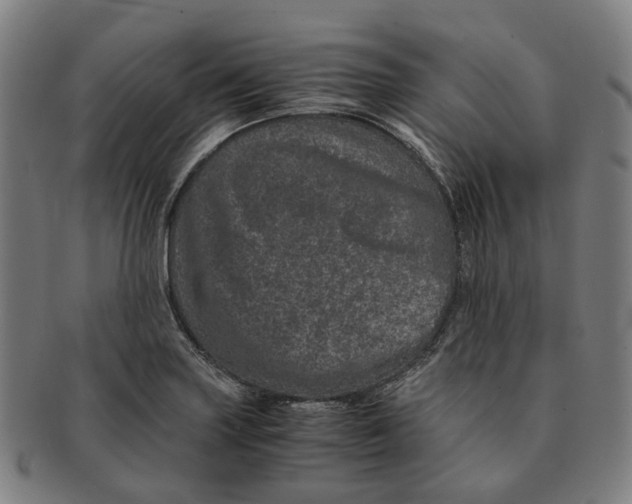 X0000090991227200708301305