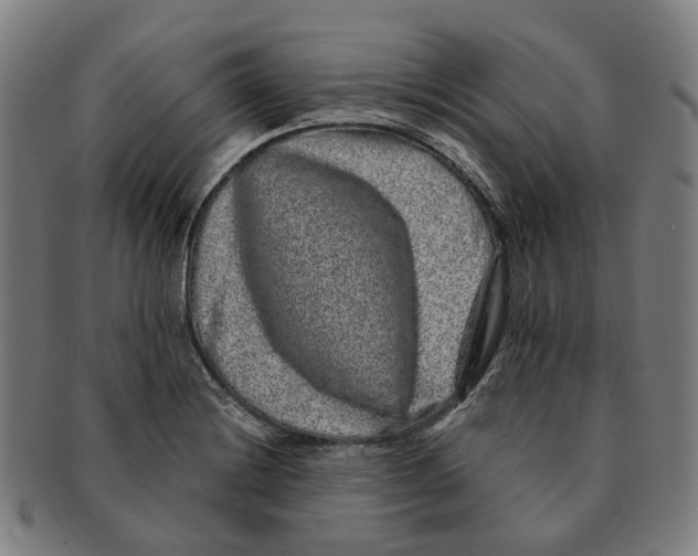 X0000090991228200708301305