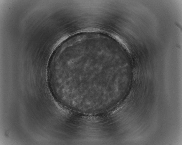 X0000090991229200708301305