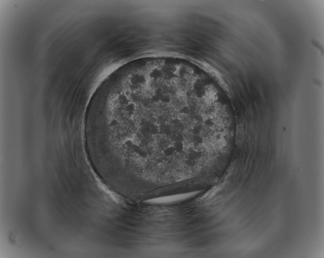 X0000090991231200708301305