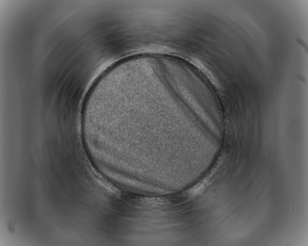 X0000090991232200708301305