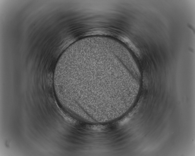 X0000090991233200708301305