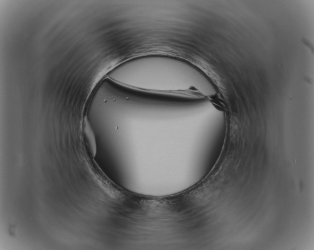 X0000090991234200708301305