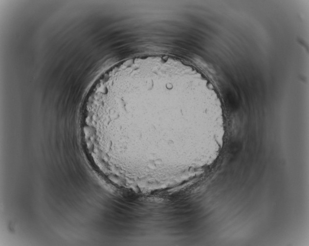 X0000090991235200708301305