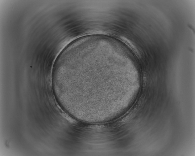 X0000090991236200708301305