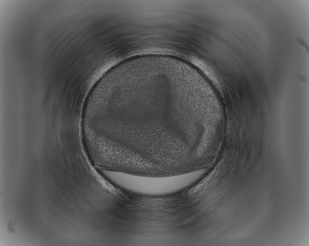 X0000090991237200708301305