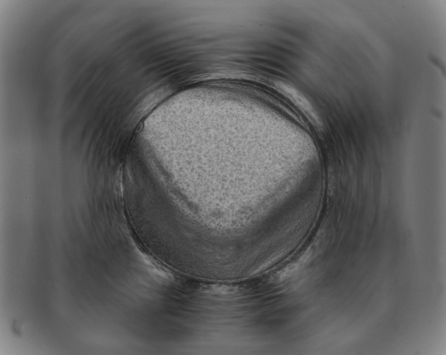 X0000090991241200708301305