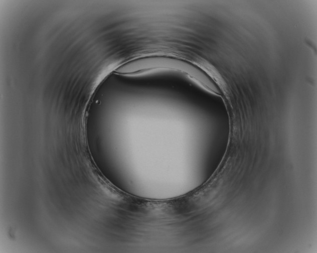 X0000090991242200708301305