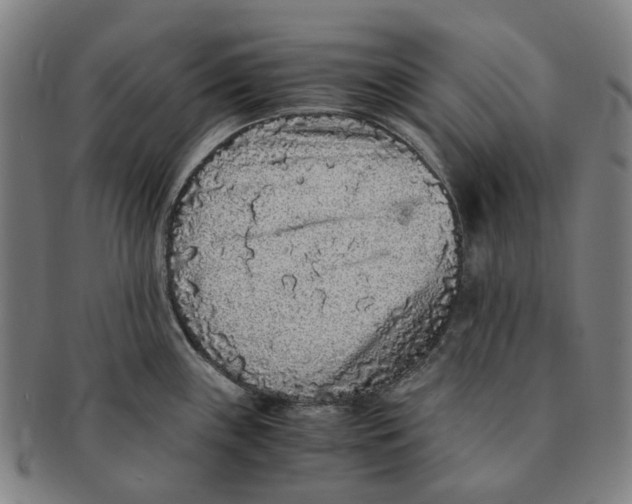 X0000090991243200708301305