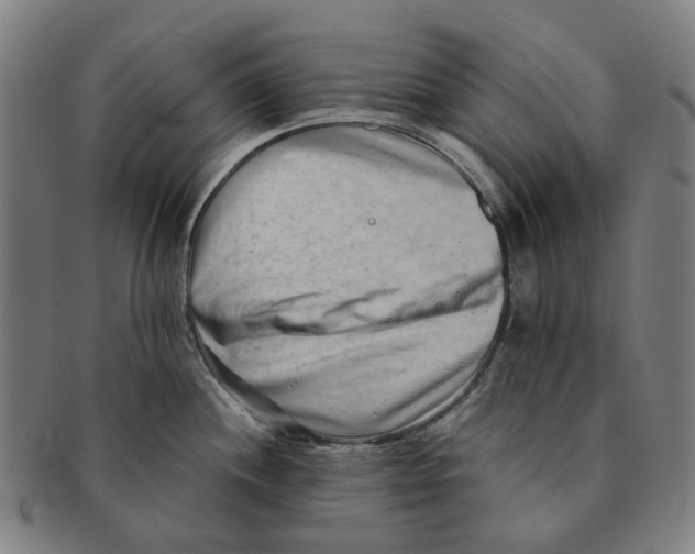 X0000090991244200708301305