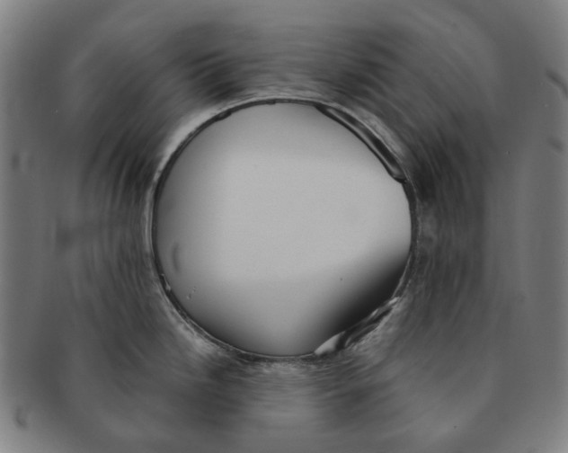 X0000090991246200708301305