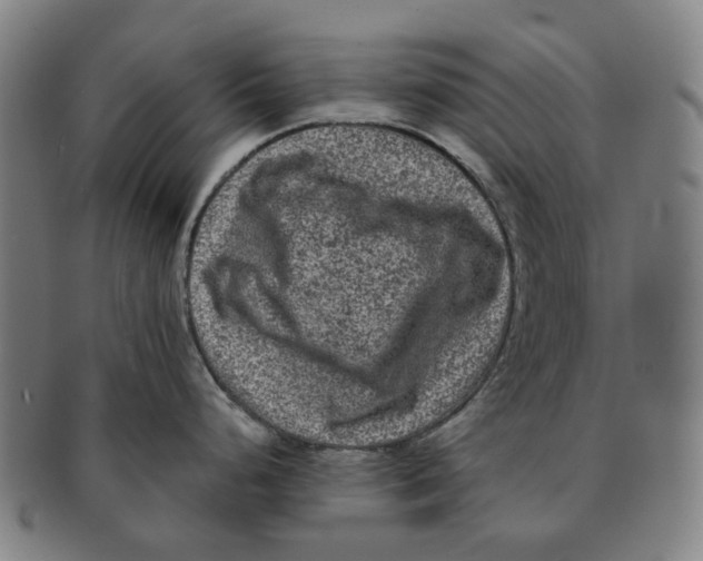 X0000090991248200708301305