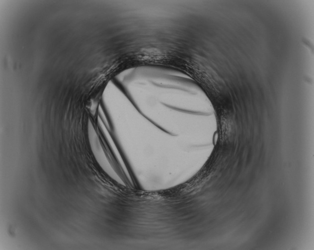 X0000090991250200708301304