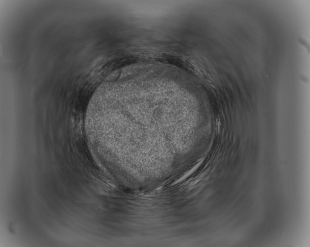 X0000090991251200708301304