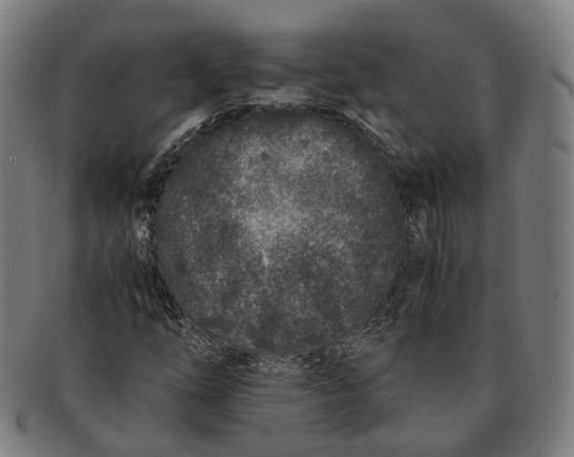 X0000090991254200708301304