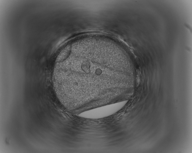 X0000090991255200708301304