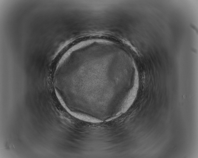 X0000090991256200708301304